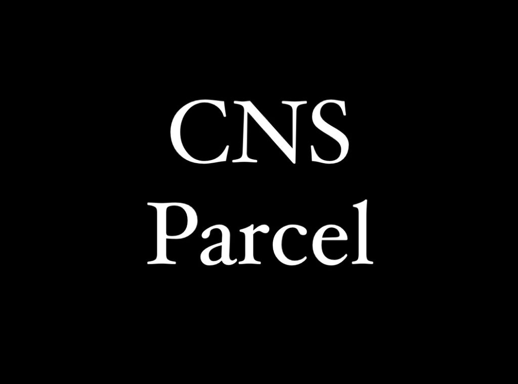 CNS Parcel